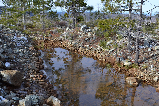 ice over a pool in a trench