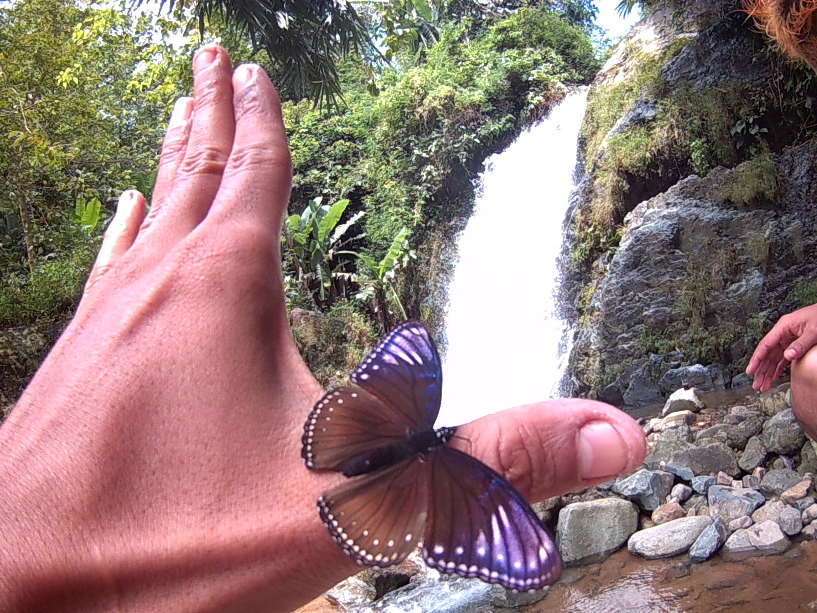  "aRie AfterLife BarKer" : Wisata Alam Curug Bandung dan ...