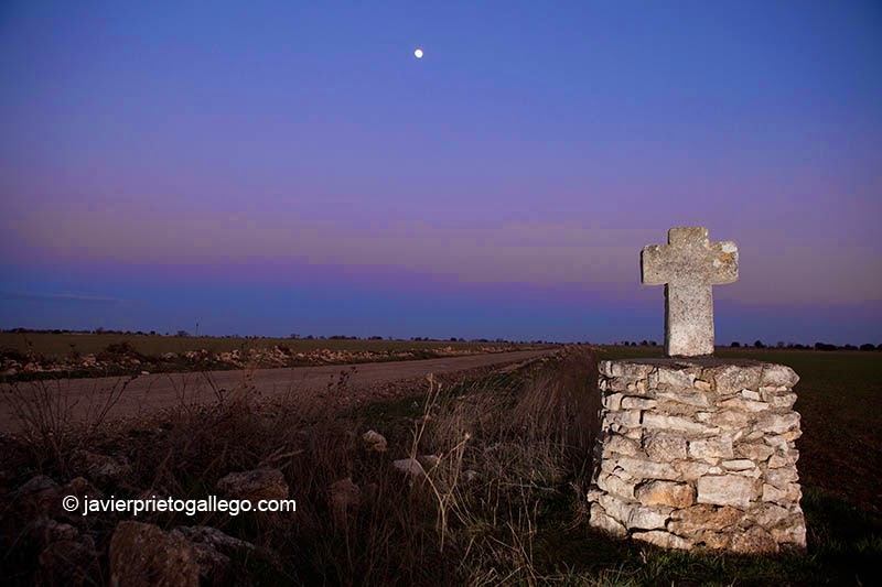 Cruz de la Muñeca. Según la tradición es el lugar en el que cayó y se abrió el feretro en el que Juana I de Castilla trasladaba el cadáver de su esposo cuando viajaba entre Antigüedad y Tórtoles de Esgueva. Antigüedad. Palencia. Castilla y León. España © Javier Prieto Gallego