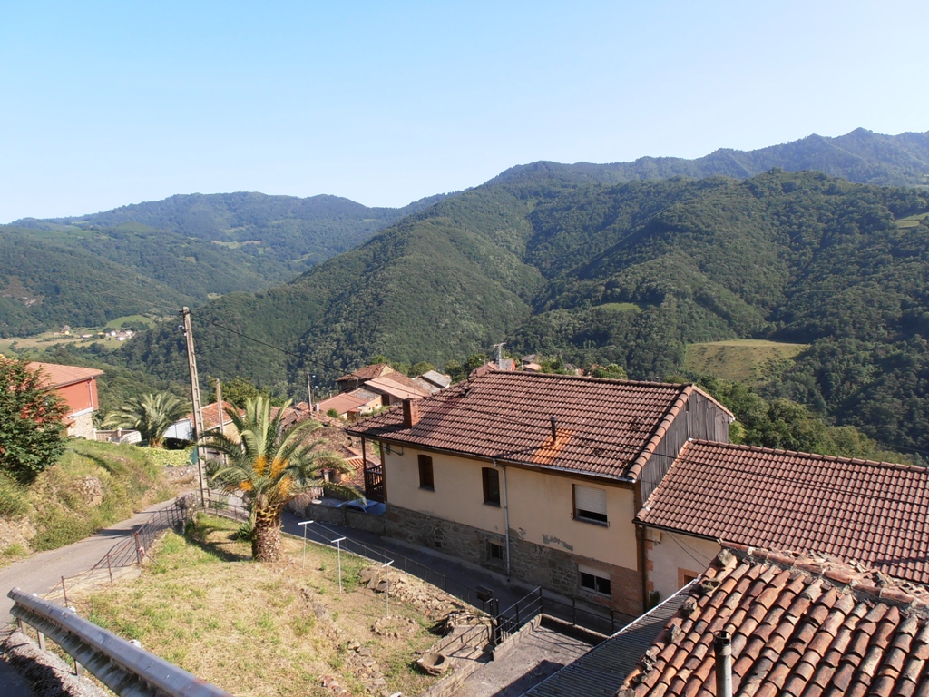 UN LUGAR PARA VIVIR Pandel