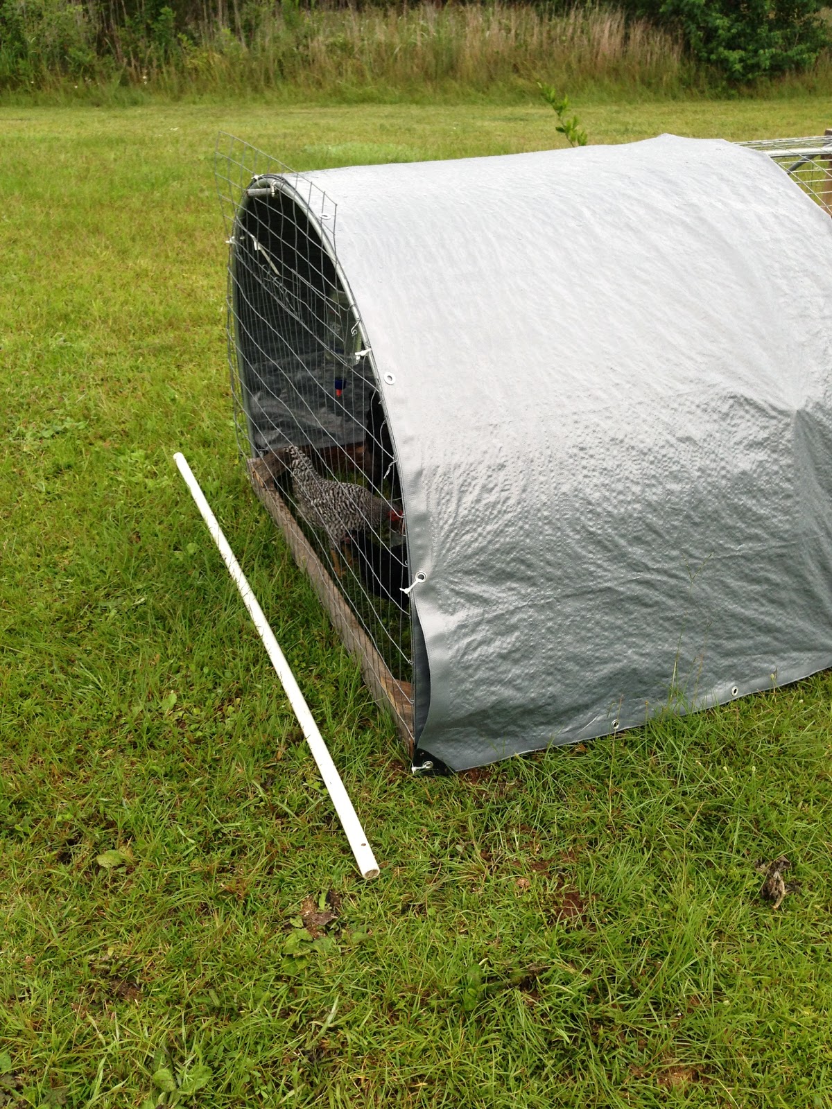 PJ Farm Organic Medicinal Herbs Chicken MiniTractor