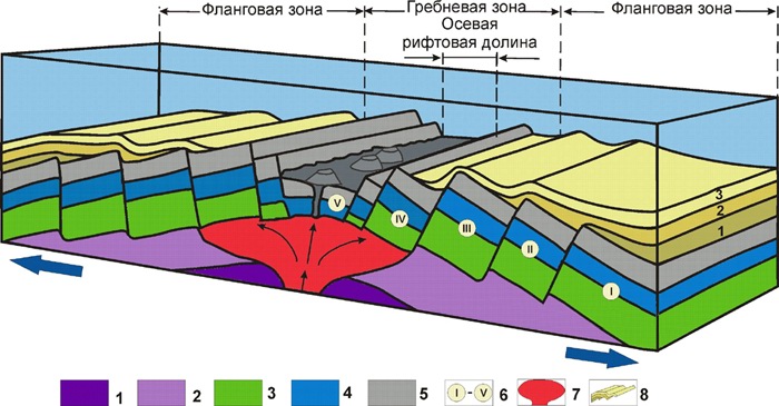 Строение срединно-океанического хребта. 1 – астеносфера, 2 – ультраосновные породы, 3 – основные породы (габброиды), 4 – комплекс параллельных даек, 5 – базальты океанического дна, 6 – сегменты океанической коры, образовавшие в разное время (I-V по мере удревнения), 7 – близповерхностный магматический очаг (с ультраосновной магмой в нижней части и основной в верхней), 8 – осадки океанического дна (1-3 по мере накопления)