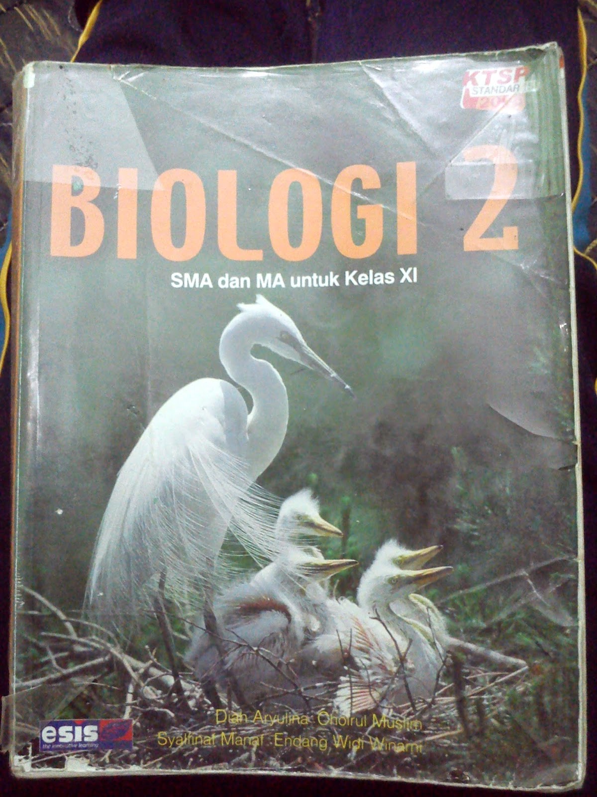 Buku Bahasa Madura Kelas 11 Link Guru