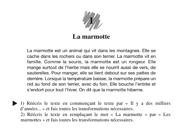 كتاب رائع باللغة الفرنسية يعلمك طريقة إعادة صياغة نص وكتابته من جديد باللغة الفرنسية la Conjugaison 110 activités de réécriture La%2Bmarmotte