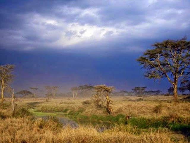 4. Serengeti Migration (Nairobi, Kenya)