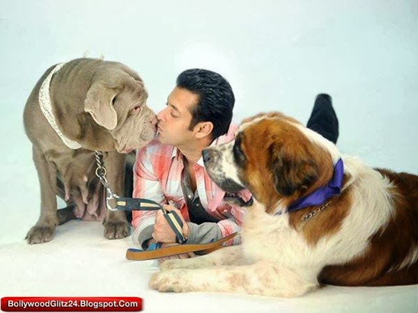 Salman khan with his Bull Dogs