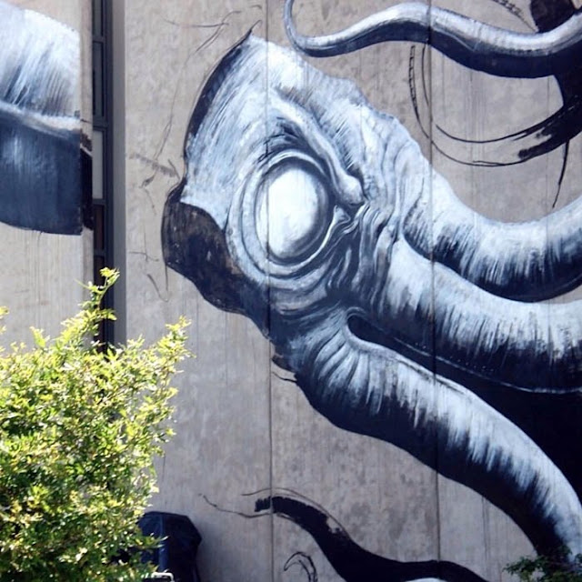 Giant Squid mural by Belgian Street Artist on the streets of Nelson, New Zealand. 2