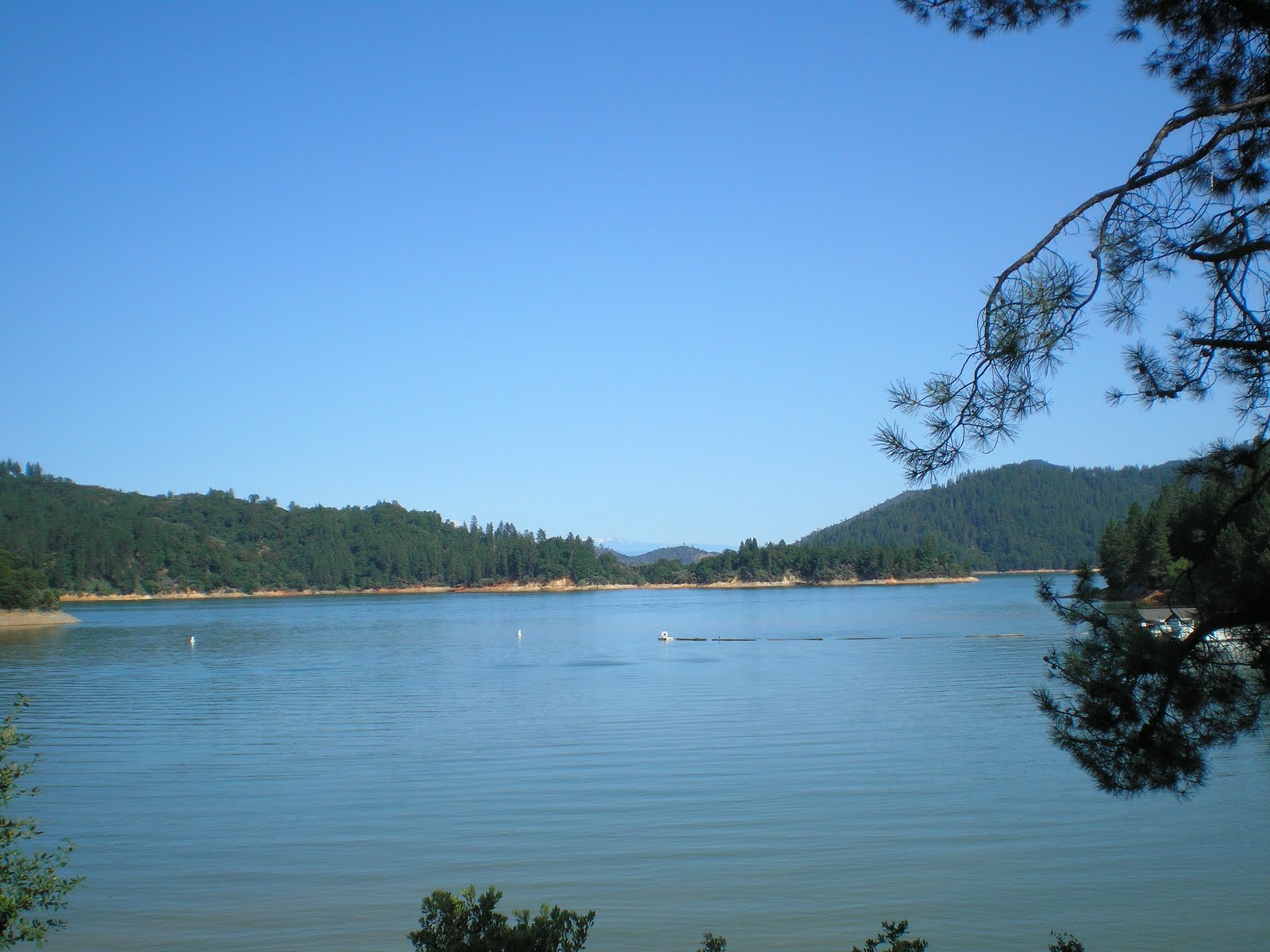 The Road Genealogist Shingletown to Shasta Lake to Mt Shasta