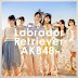 Lirik lagu AKB48 - Labrador Retriever [ Romaji , Indonesia ]