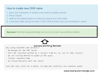 Succes poniting Domain
