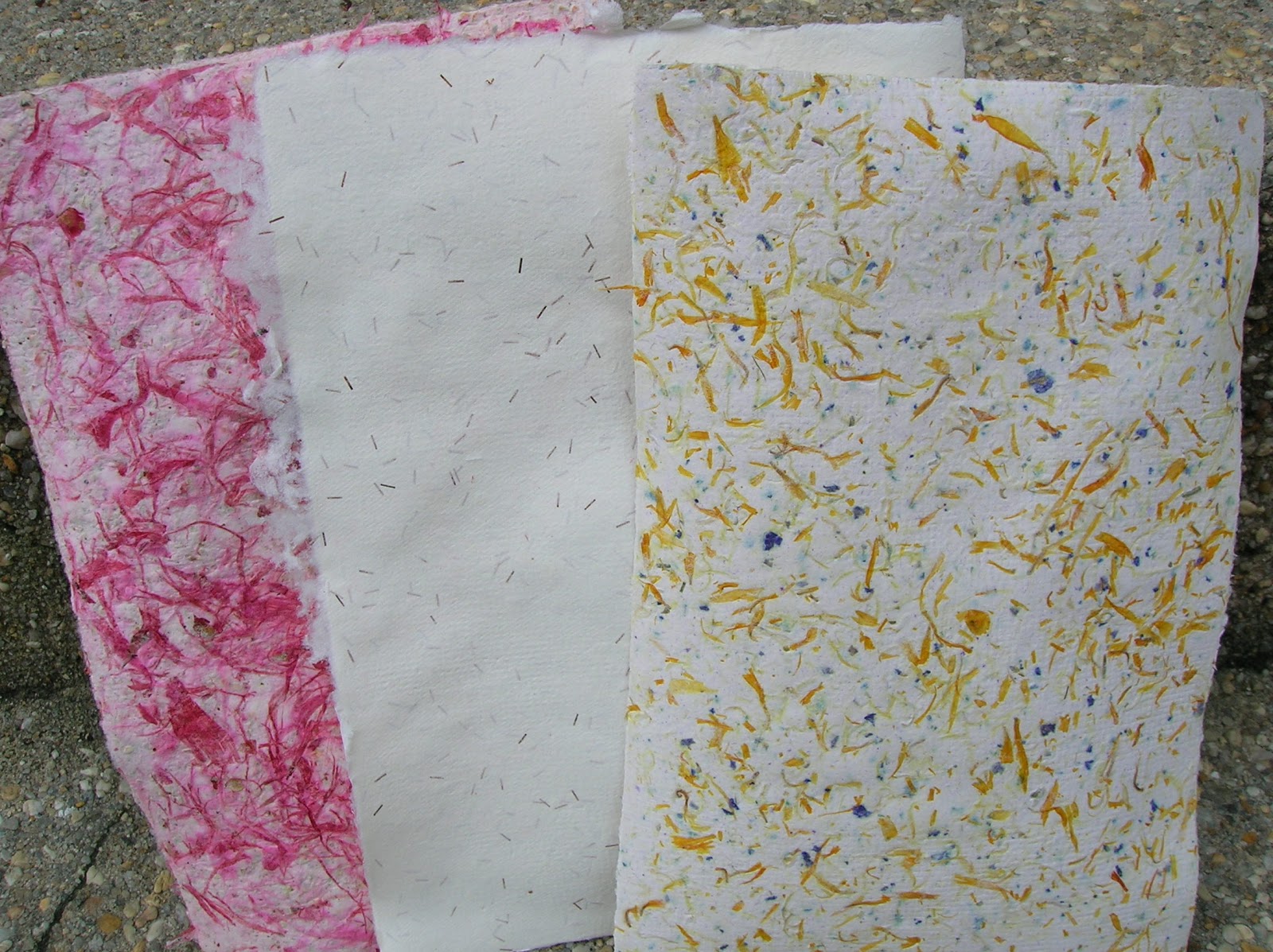 Making Paper Is Fun And Easy!