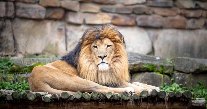 The Science illusion