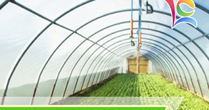 Cara Membuat Green House Sederhana Dan Murah Kreatifitas