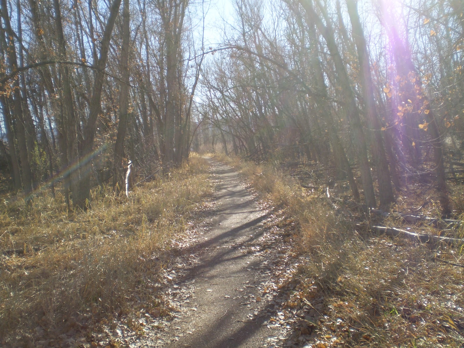 Denver's Bike Paths AROUND CHATFIELD LAKE NOVEMBER 2011