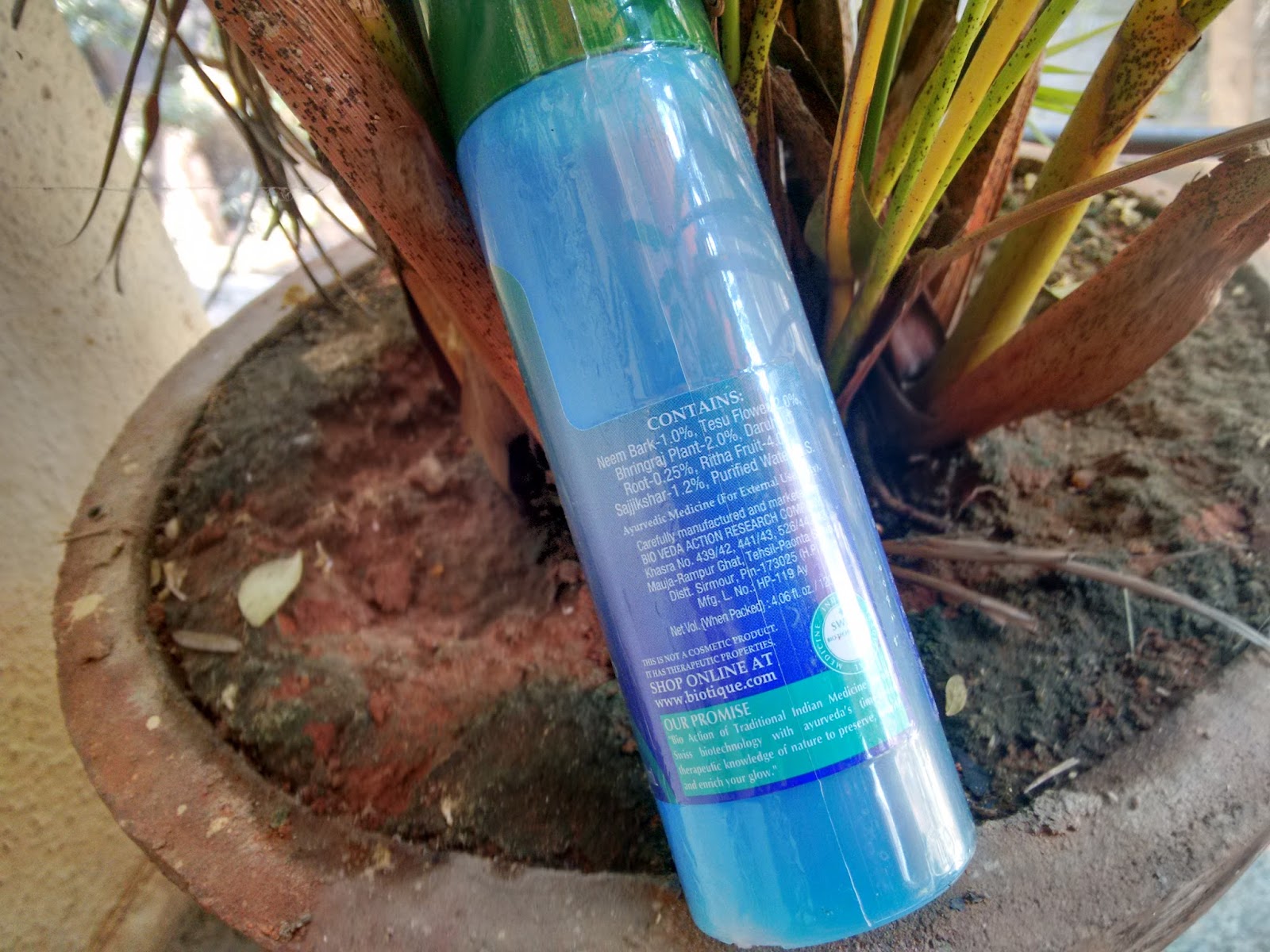 Biotique Bio Kelp Protein Shampoo For Falling Hair Intensive Hair Growth  treatment Review | Bling Sparkle