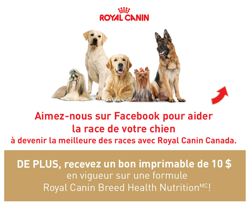 Coupons rabais 10 Québec Royal Canin