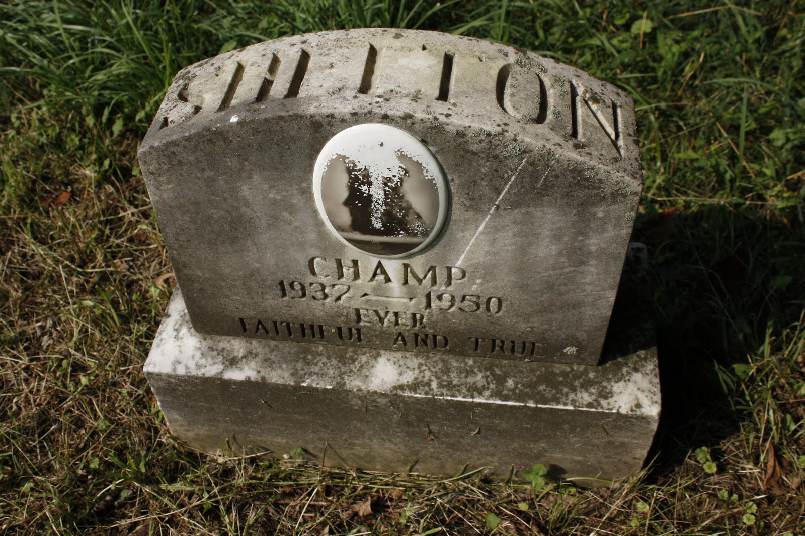 Grave Images A real pet cemetery in Maryland
