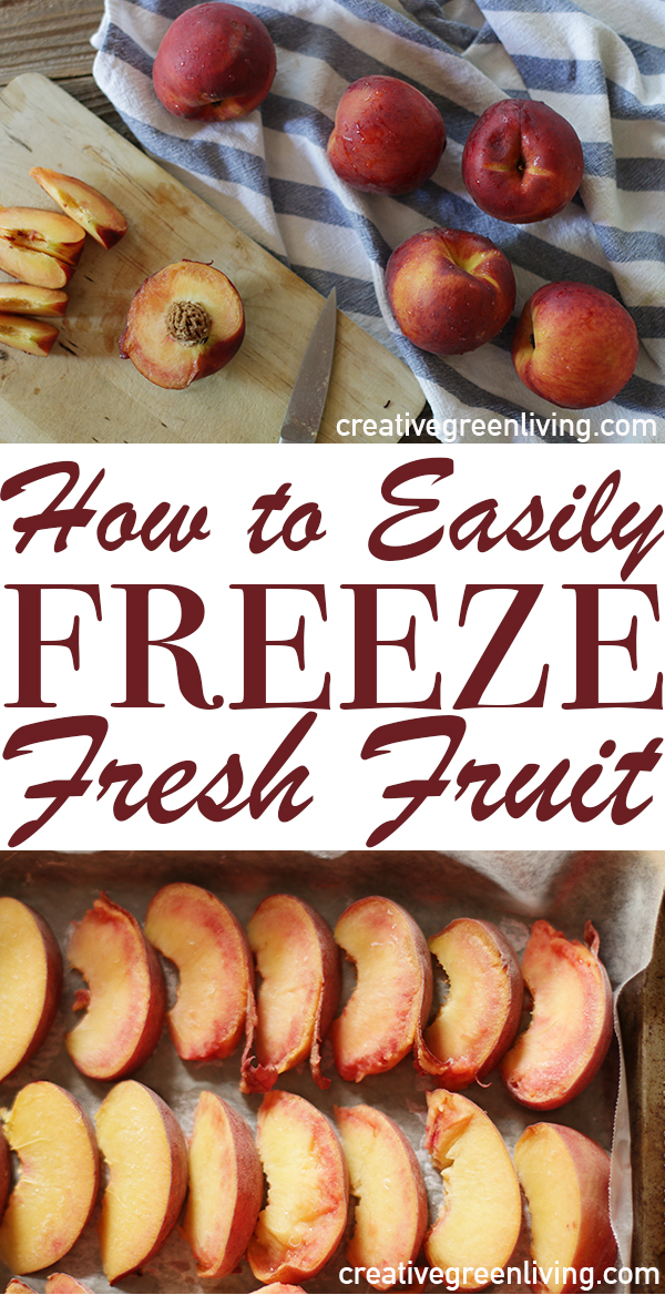 How to Preserve Fresh Fruit in the Freezer The NO Sugar Method