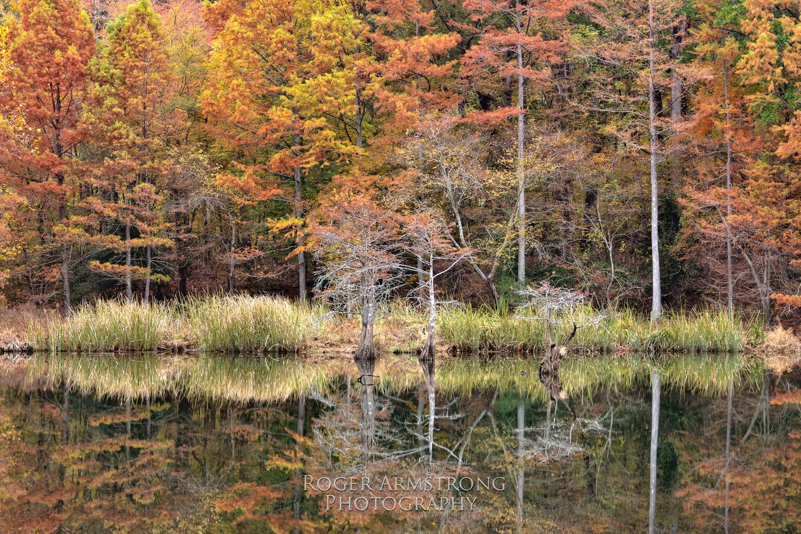 Roger Armstrong Photography Fall Color Beavers Bend