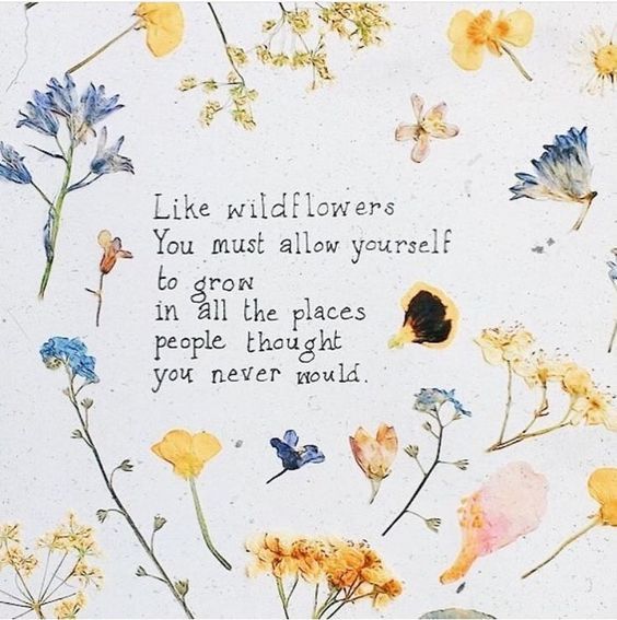 Indigovalleylife You Belong Among The Wildflowers You Belong Somewhere You Feel Free