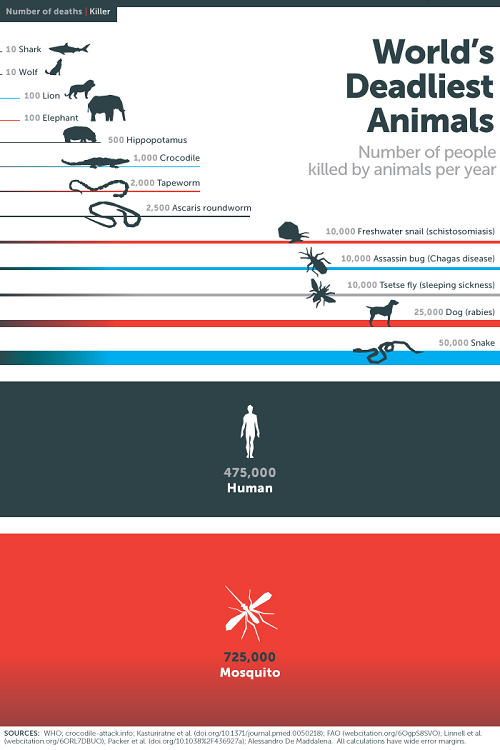 Gráfica letalidad animales