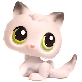 Littlest Pet Shop Small Playset Kitten (#100) Pet