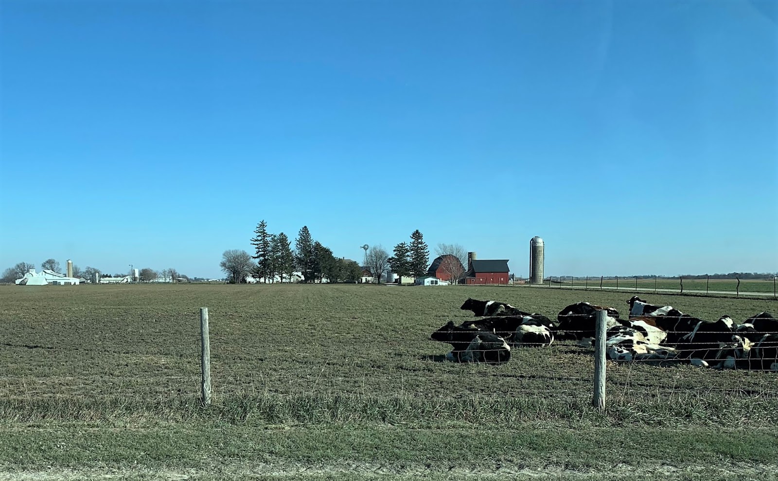 Thanksgiving day parade 2024 charlotte nc