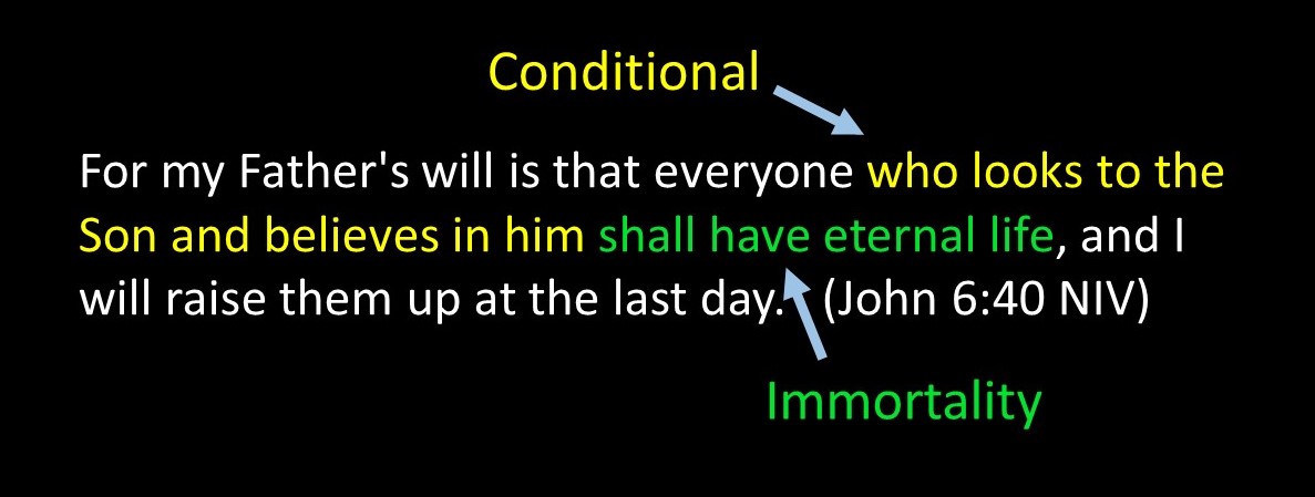 Conditional%2BImmortality%2B4.JPG
