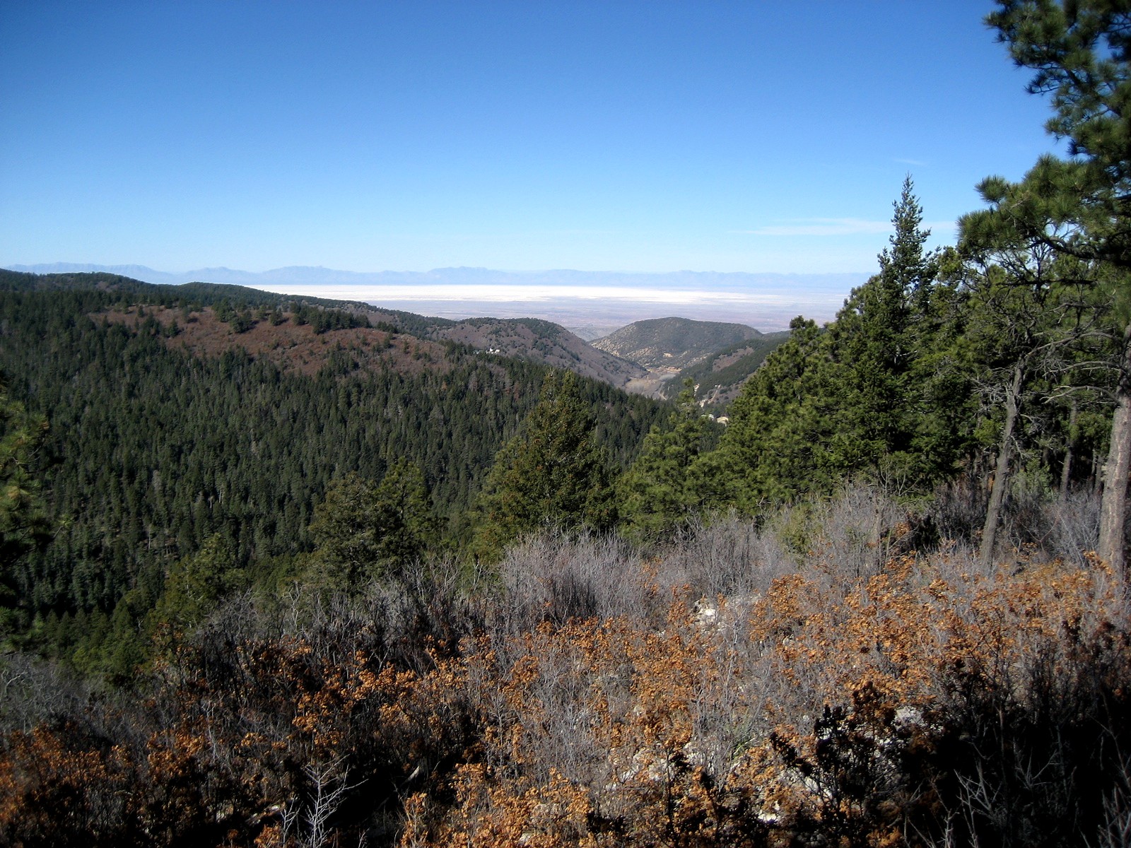 Living Rootless Cloudcroft, New Mexico A View of White Sands