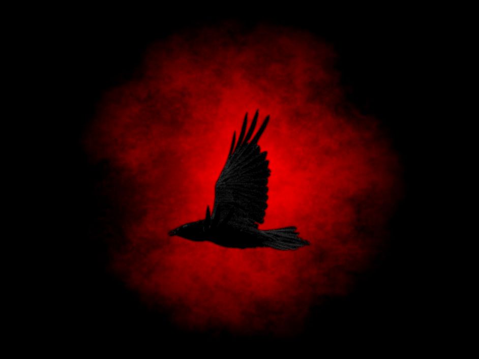 Dark Raven Wallpaper by Altered13 on DeviantArt
