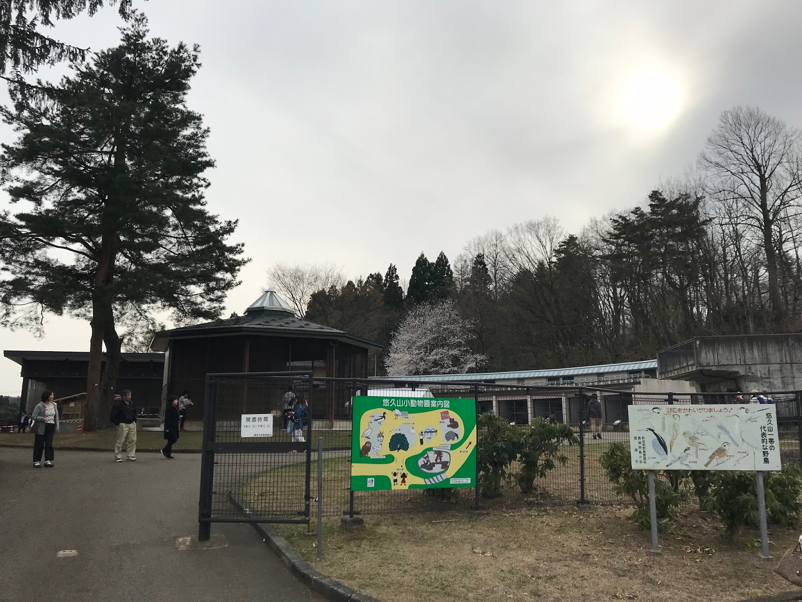 エスネル 豊かな暮らしを送る秘密 新潟観光大使 41 悠久山公園で初花見 動物園 In 長岡市