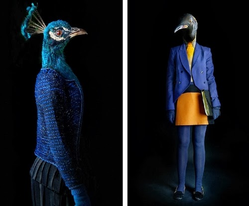 13-Peahen and Penguin-Miguel-Vallinas-Segundas-Pieles-Second-Skins-Smartly-Dressed-Animals-www-designstack-co