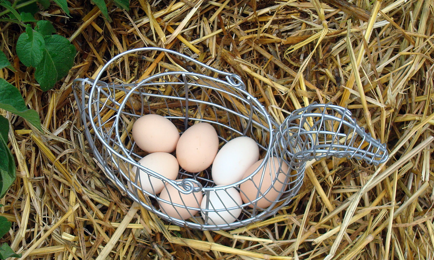 Vintage Chalet Vintage Wire Baskets Farmhouse Finds and Garden Time