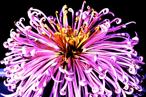 feature picture