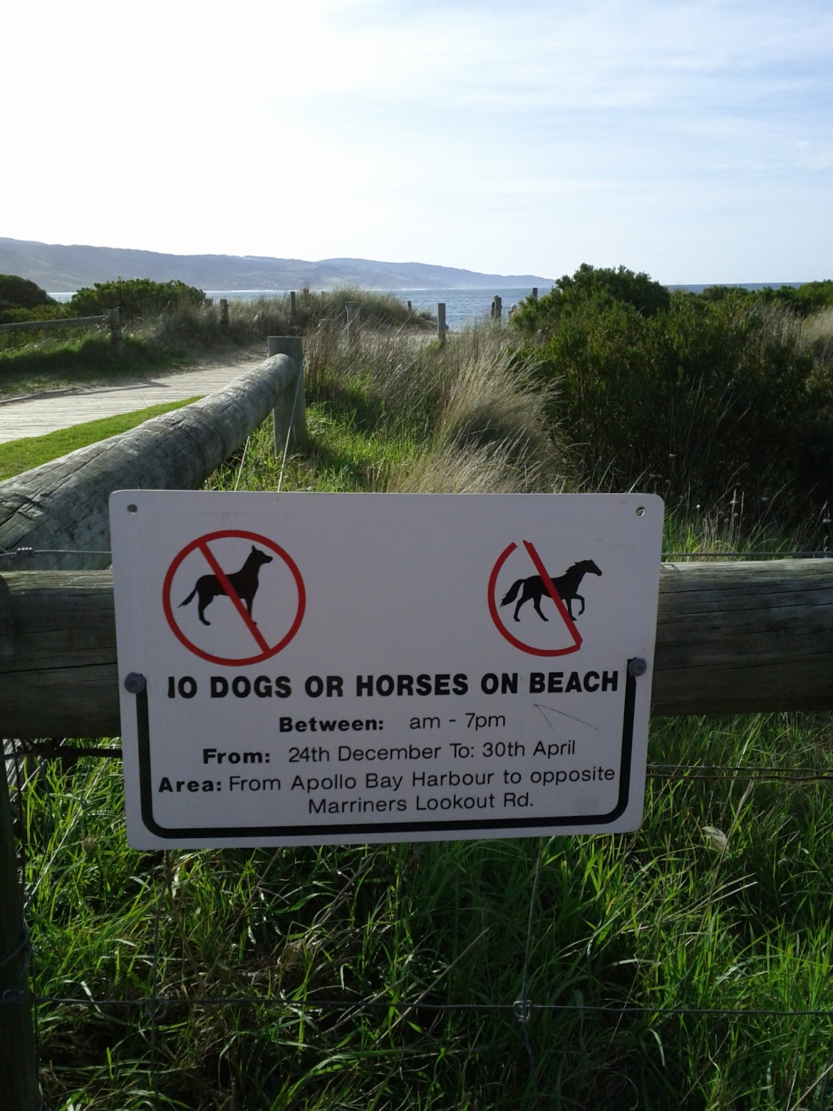 Day Out with Dog (Victoria Australia) Beach at Apollo Bay (between