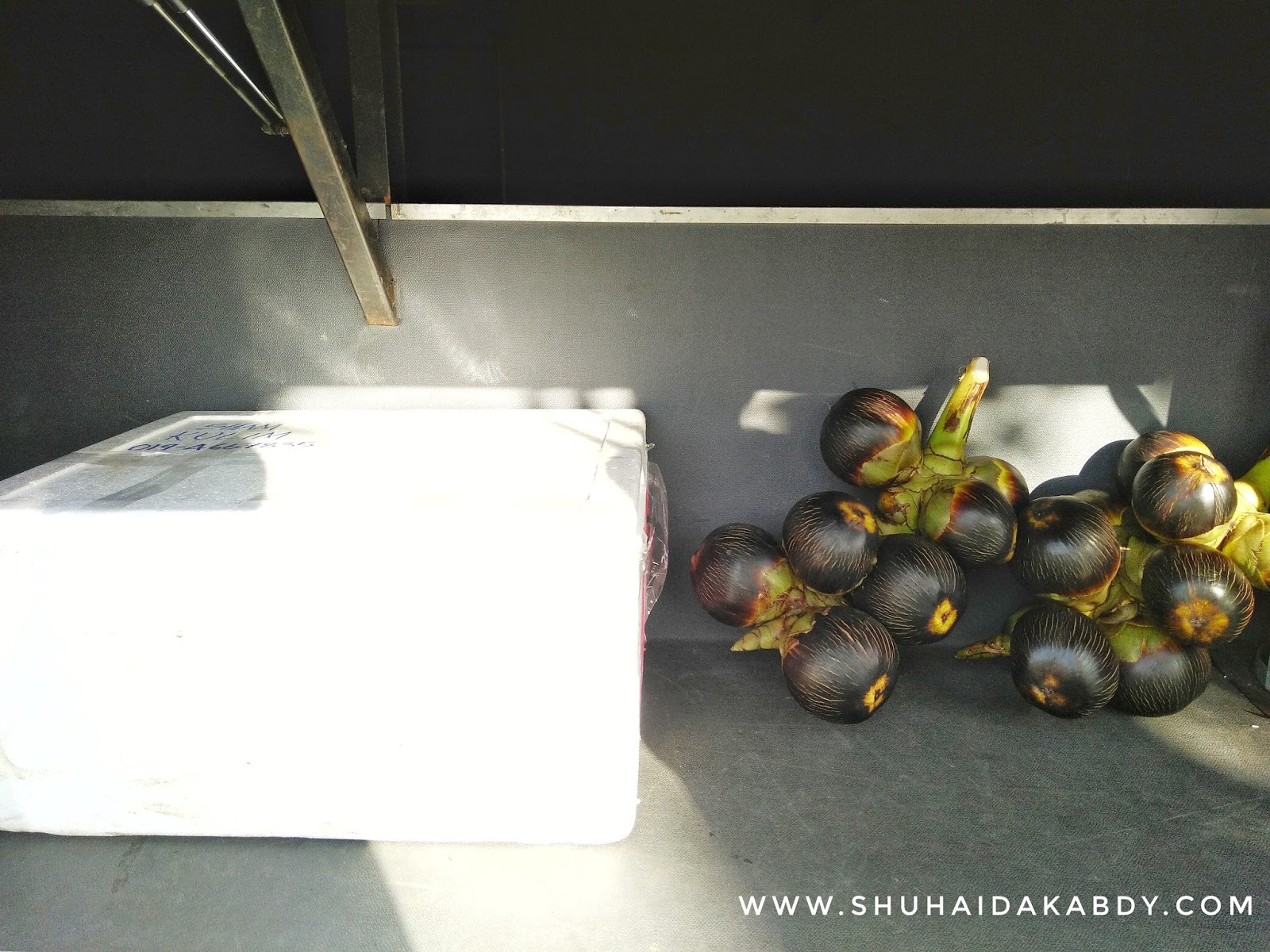 Delivery Kelapa Laut Man Java Delivery Kelapa Laut Man Java