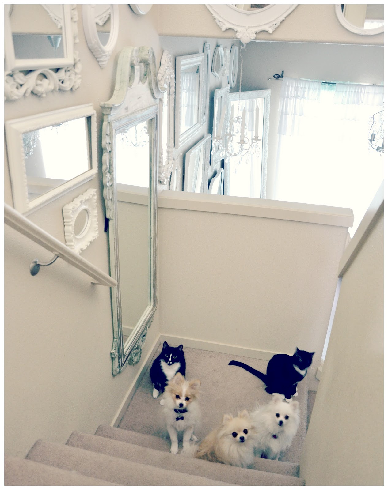 Not So Shabby Shabby Chic More Mirrors Mirrors Mirrors!