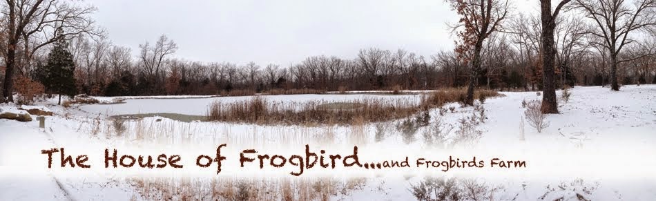 The House of Frogbird and Frogbirds Attic