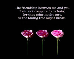 sister quotes friendship law sayings inspirational quotesgram special sisterhood funny chain break falling