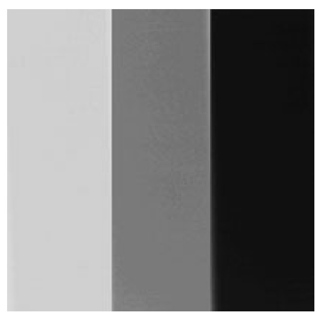 Clark's Radiography Density and contrast