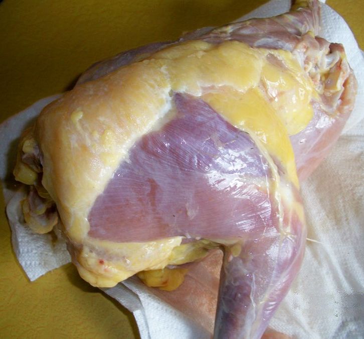 Natural Chicken Keeping Ask Bee What Protein Levels Do My Chickens Need?