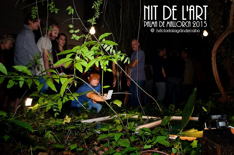 NIT DE L´ART 2015. Palma de Mallorca. Fotografías y Vídeo por Héctor Falagán De Cabo  | hfilms & photography