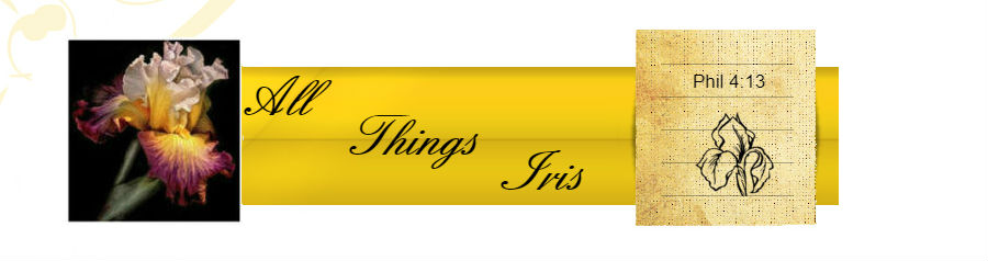 All Things Iris