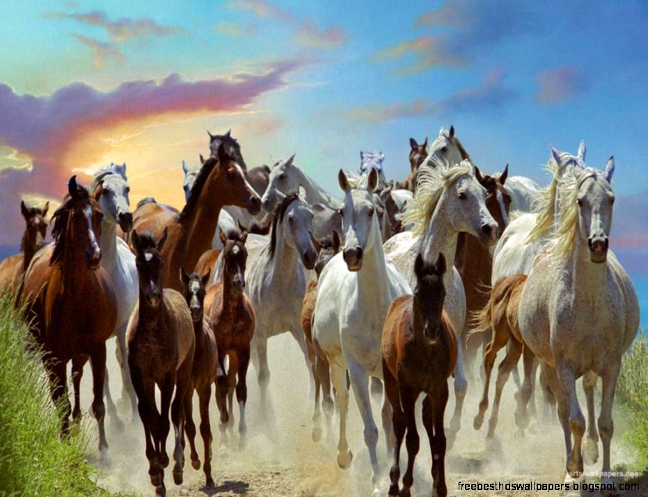 Horse Paintings Art Horse Art Wallpapers Painting Wallpaper