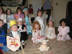 Hans Christian Anderson fairy tale party