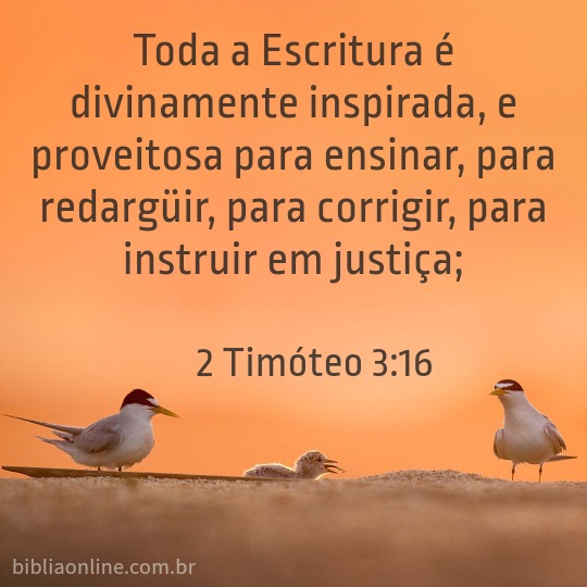 PALAVRA DE HOJE 2 Timóteo 316 PALAVRA DE HOJE 2 Timóteo 316