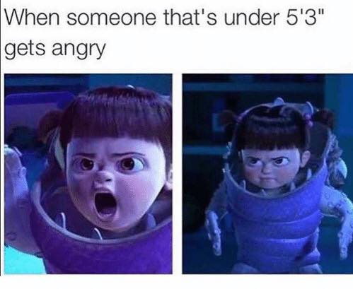 13 Hilarious Memes Only Short People Can Relate To