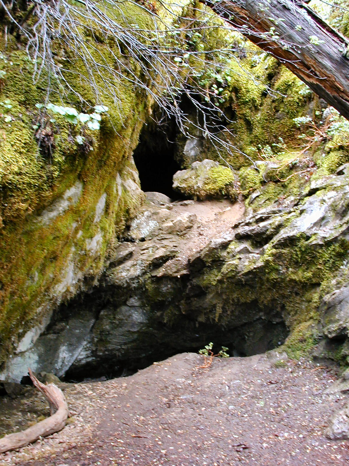 Oregon Caves National Monument, Oregon
