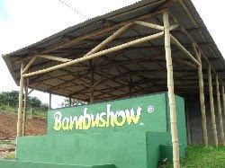 Bambushow