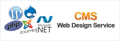 web cms development